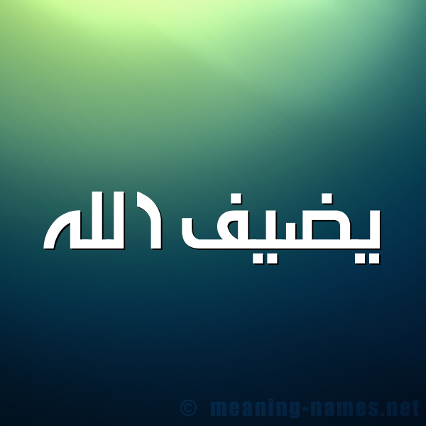 شكل 1 صوره للإسم بخط عريض صورة اسم يضيف الله Daif